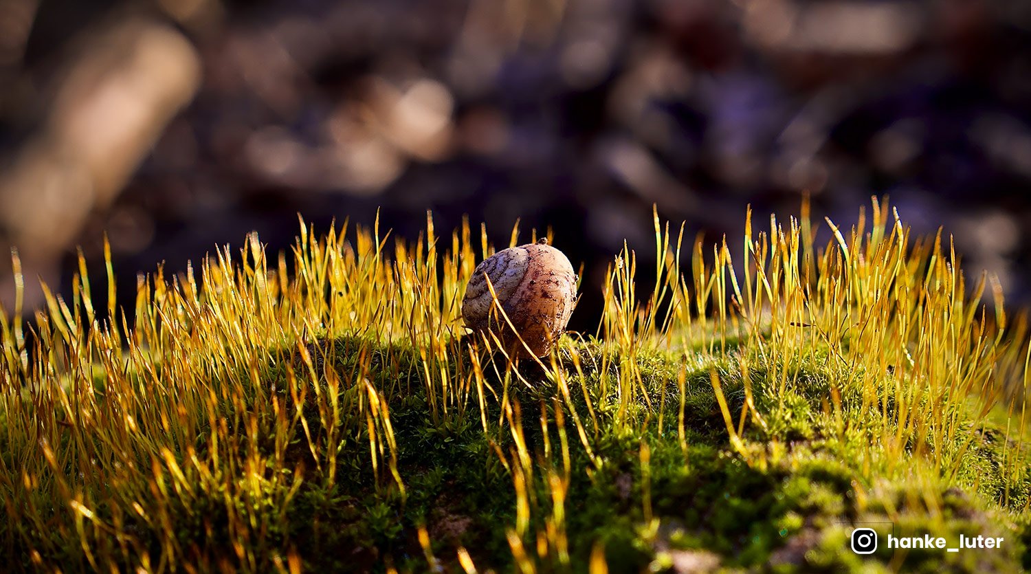 Full width Optimized  Homepage Rehub Elementor noimage 100 70