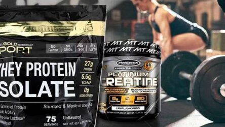 Multiple Offers in Post and Top list  Homepage Rehub Elementor noimage 444 250